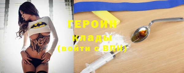 прущие грибы Жердевка