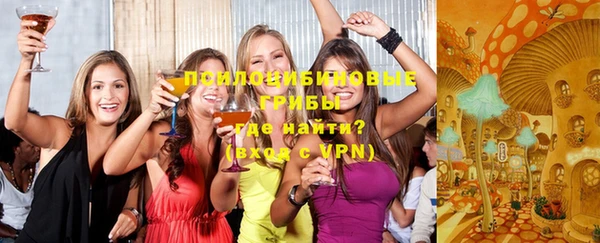 прущие грибы Михайловск
